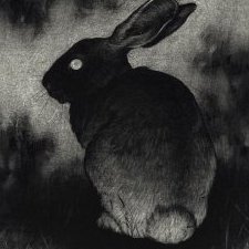 Lagomorpha